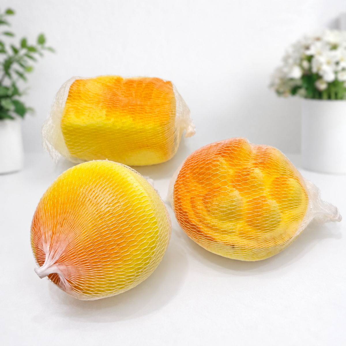 Assorted Slow Rise Bread