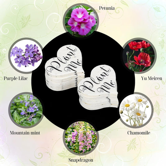 Plant Me Seed Paper Heart ๐ฑ๐