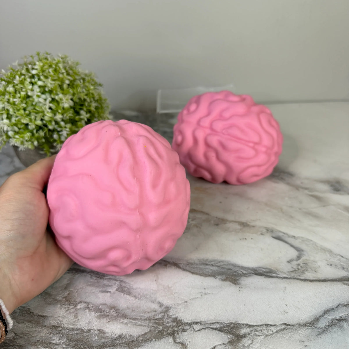 🧠 Large Brain Squishy