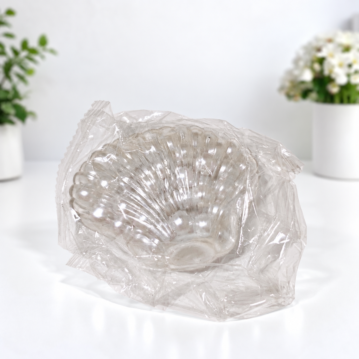 Pearl Seashell Squishy