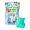 Mystery Squishy Bears
